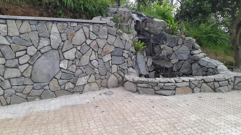 Lasha Guest House Makhinjauri Ngoại thất bức ảnh
